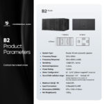 B2 Subwoofer